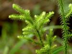 2003_0416_095324