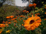 2004_0307_141646