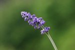 2004_0410_145146