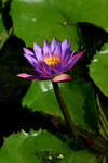 2004_0626_150904