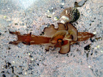 2003_0406_153830