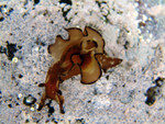 2003_0406_153958