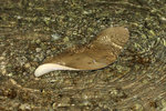2009_0208_011604