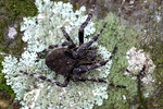2004_0801_110906