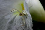 2004_0904_074442
