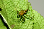 2004_0905_171050