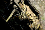 2004_0917_215550