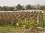 DSC03170