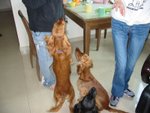 IMG_0013