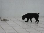 IMG_0021