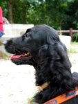 IMG_5678