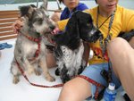 IMG_5362