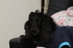 DSC_0069