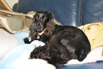 Image00006