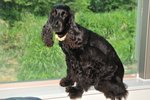 Image00017