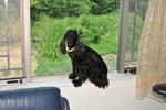 Image00024