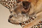 Image00005
