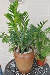 Image00013
