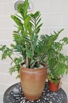 Image00014