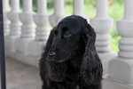 Image00019