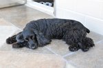 Image00005
