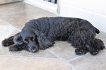 Image00006
