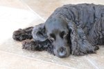 Image00008