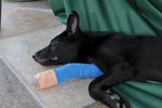 Image00016