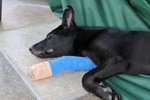 Image00017