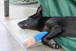 Image00019