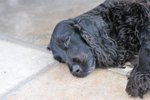 Image00022