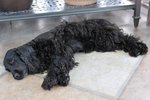 Image00024