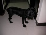 SANY0054