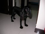 SANY0055