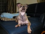 SANY0057