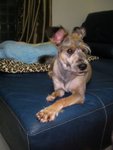 SANY0058