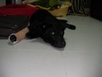 SANY0064