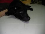 SANY0065
