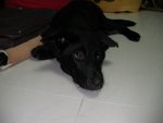 SANY0066