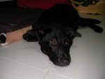 SANY0067