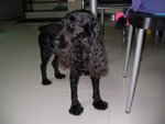 SANY0072