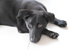 Image00001