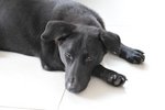 Image00002