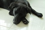 Image00007