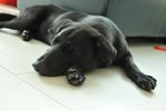 Image00008