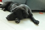 Image00009