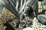 Image00017