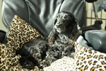 Image00018