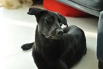 Image00021
