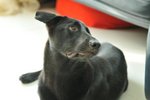 Image00022